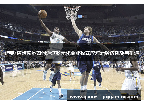迪克·诺维茨基如何通过多元化商业模式应对新经济挑战与机遇 迪克·诺维茨基如何通过多元化商业模式应对新经济挑战与机遇